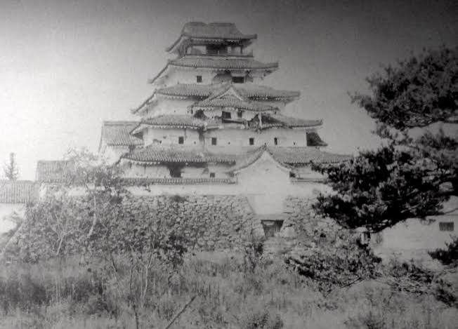 Tsuruga Castle in the early Meiji era, before demolition
