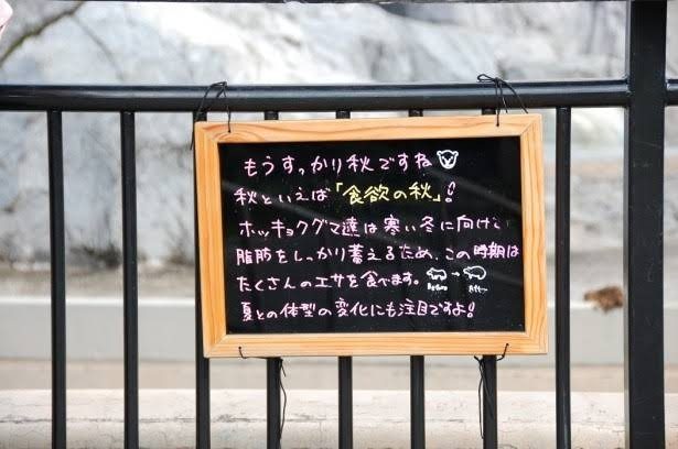 Inside Asahiyama Zoo