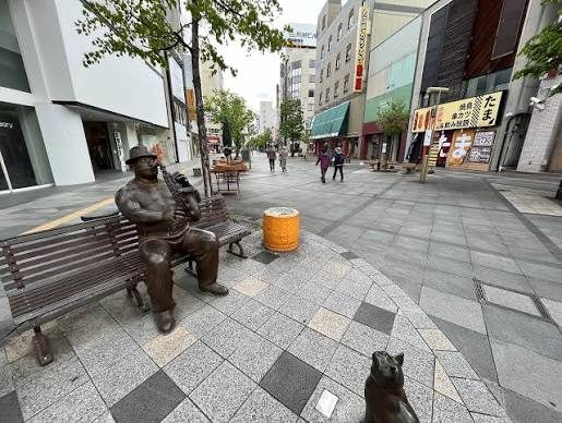 The pedestrian space of Heiwa-dori Shopping Park