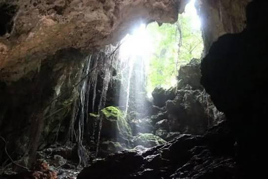 Light streaming through a moss-covered cave opening