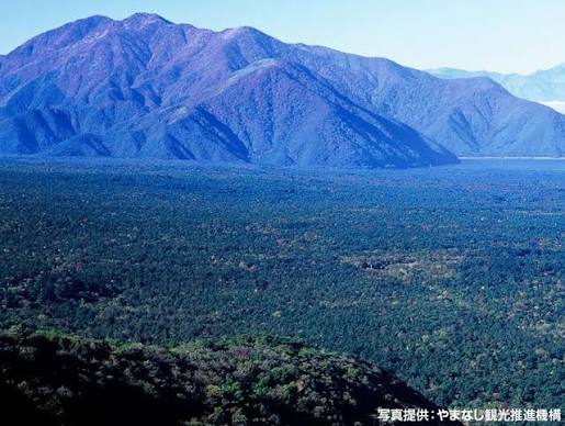 The extent of Aokigahara Jukai seen from the Misaka mountains