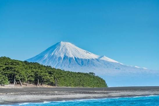 Coastal scene with pine trees and Mt. Fuji in the distance