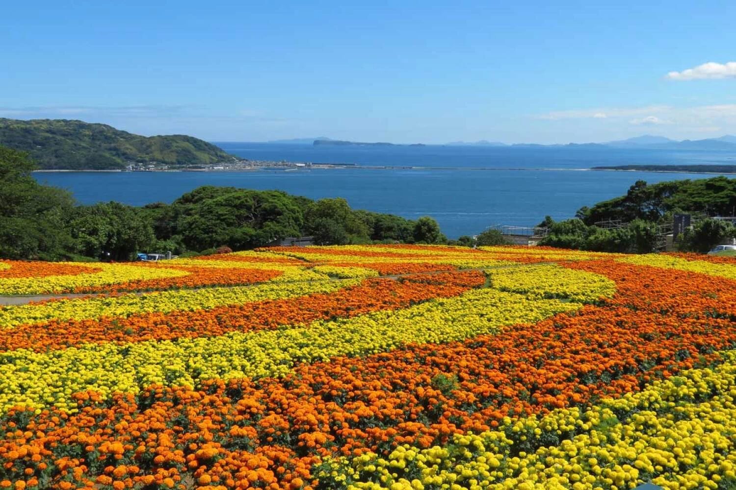 Nokonoshima Island Park