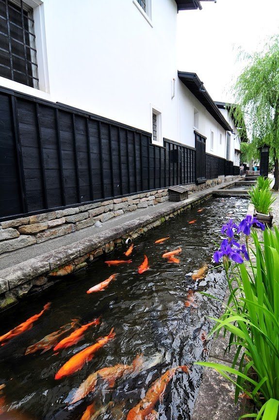 The Seto River and white-walled storehouses