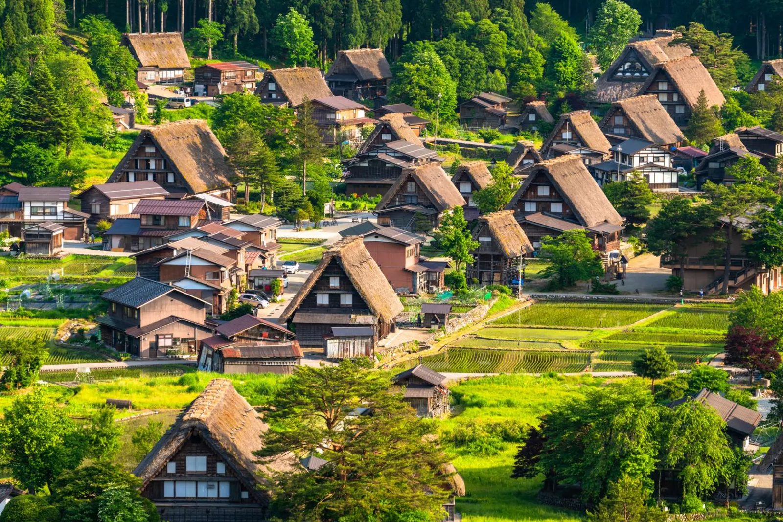 The gassho-zukuri village of Shirakawa-go