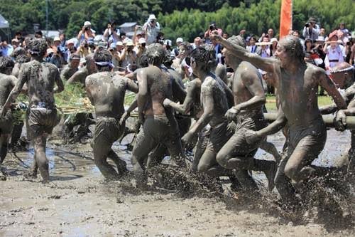Men scrambling for a bamboo pole in the muddy paddy at Izawa-no-miya