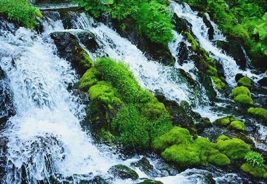 Clear water flowing over moss-covered rocks