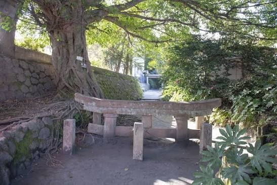 A stone torii gate buried up to its top crossbeam, standing beside a tree