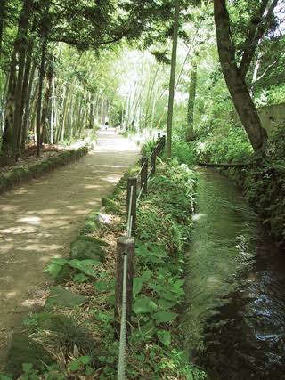 The Tatsumi Canal flowing through greenery