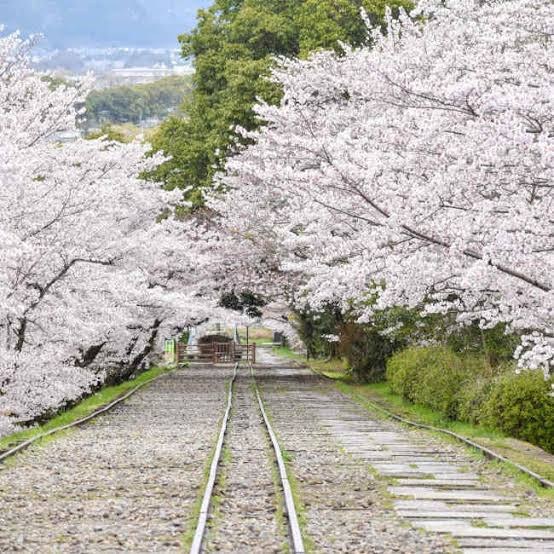 蹴上インクライン。舟を台車ごと坂の上下へ運んだ