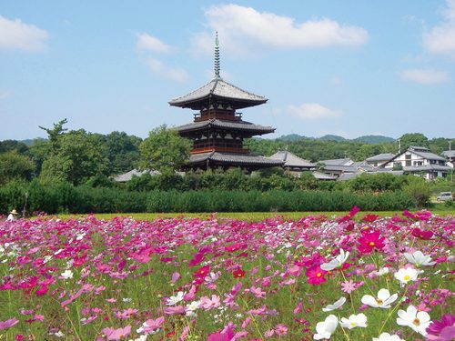 The three-storey pagoda of Hokki-ji