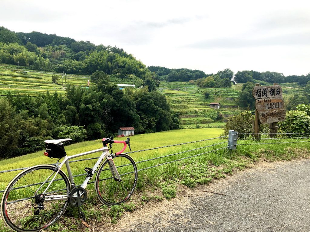 The Inabuchi rice terraces