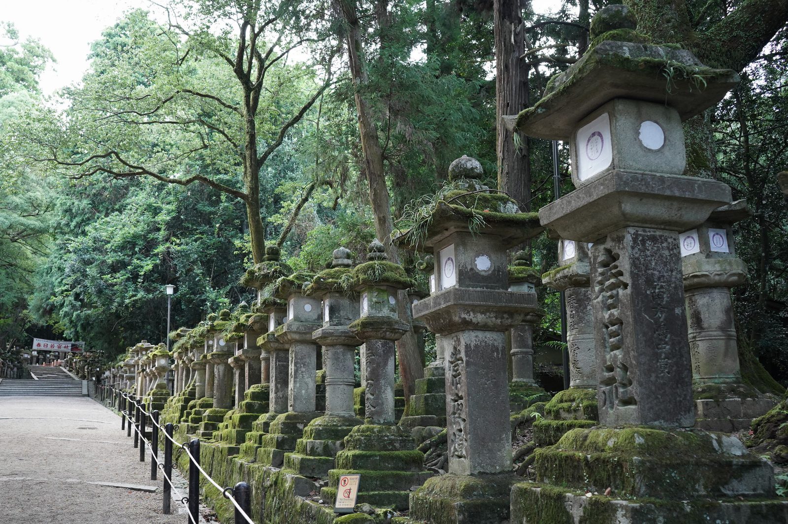 Stone lanterns along the approach