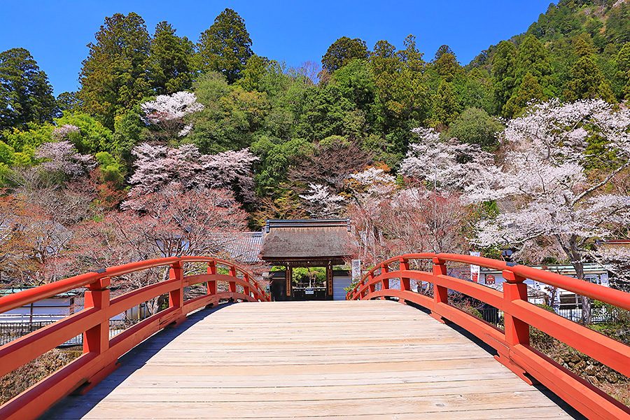 The Muro River and the arched bridge