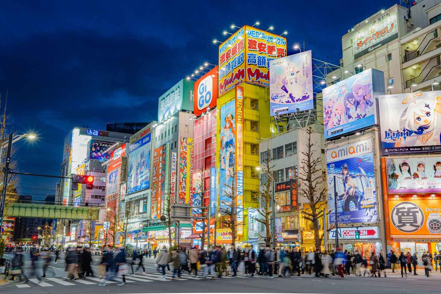 Akihabara Electric Town