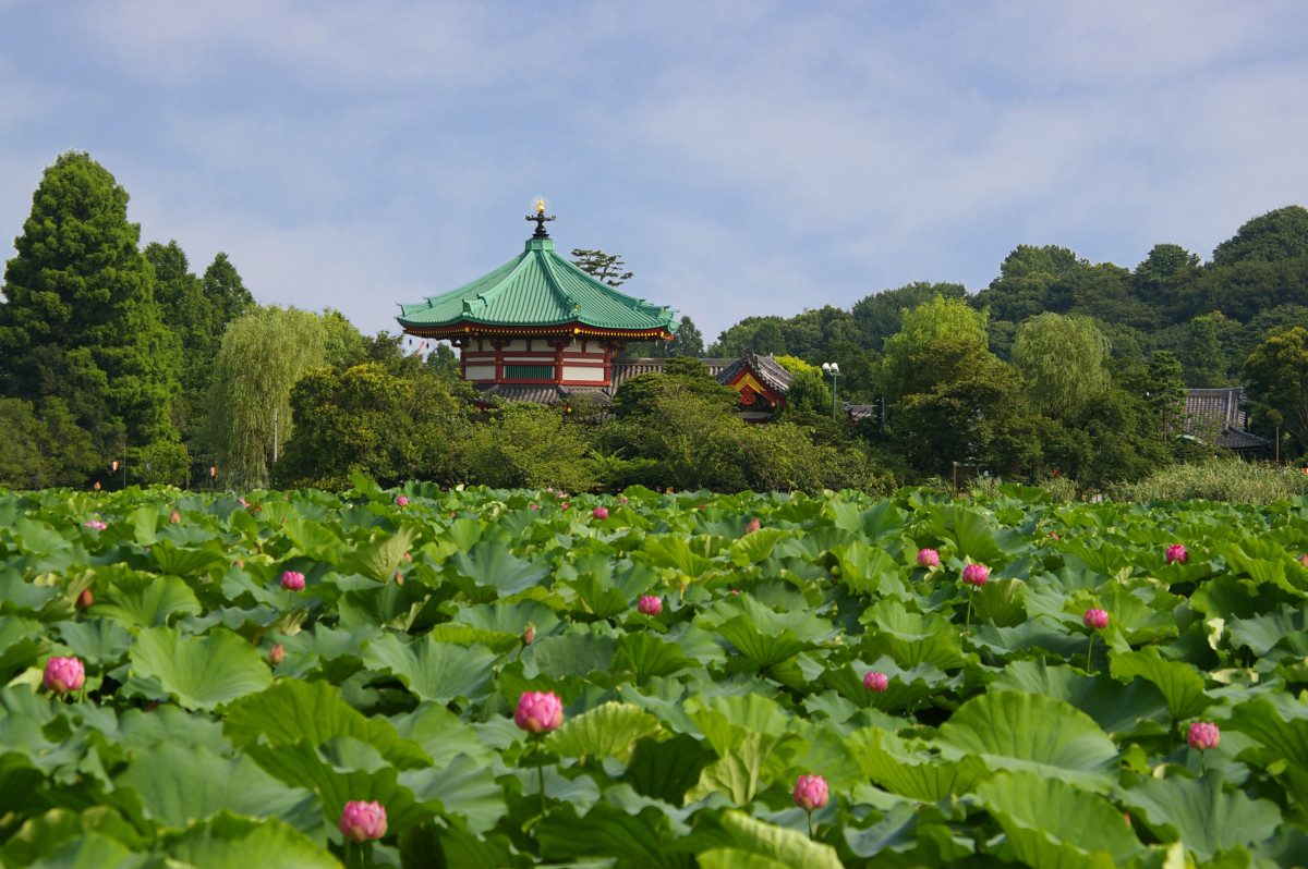 Shinobazu Pond Bentendo