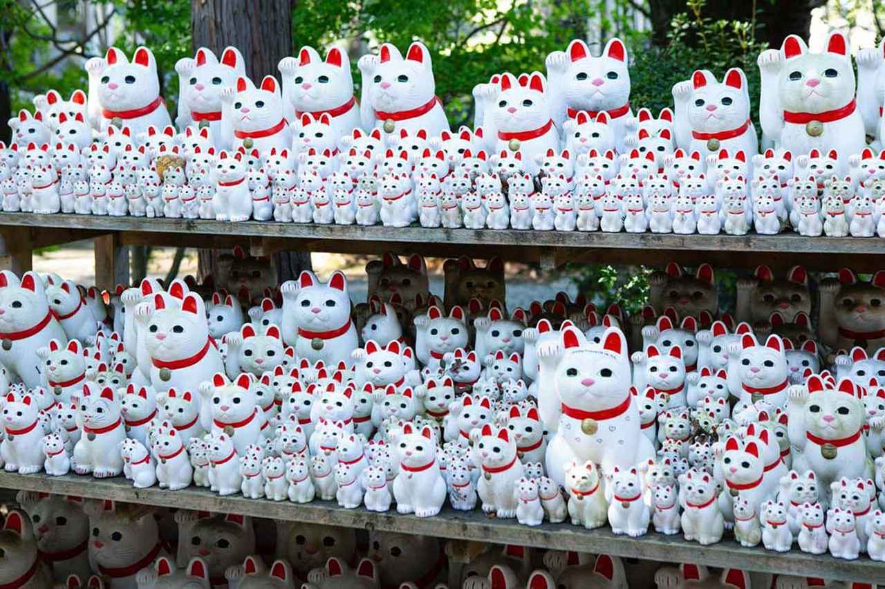 Beckoning cats at Gotoku-ji