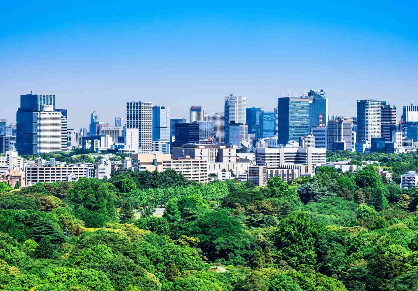 Shinjuku Gyoen