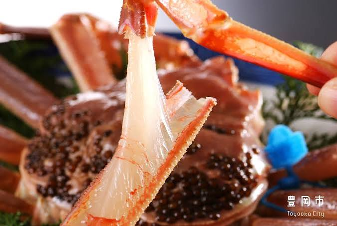 Snow crab (matsuba-gani) served at a Kinosaki ryokan